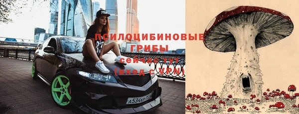 шишки Остров