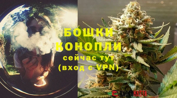 шишки Остров