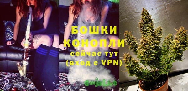 гидра Осинники