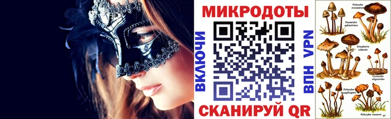блэк спрут ссылки  наркотики  Березники  Галлюциногенные грибы MAGIC MUSHROOMS 
