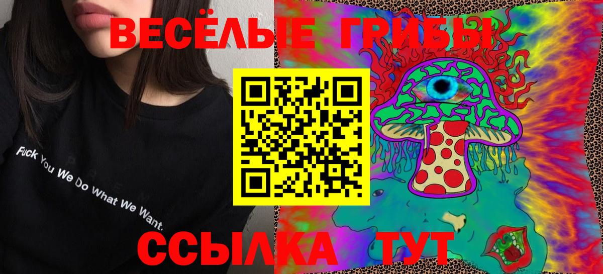 Псилоцибиновые грибы GOLDEN TEACHER  Березники 