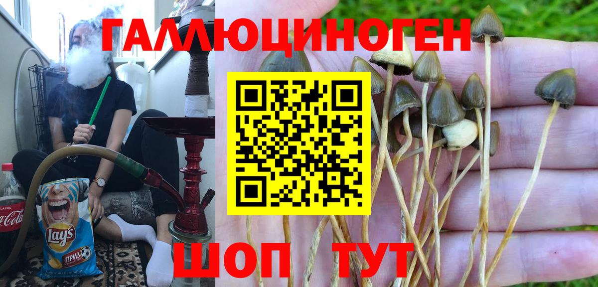 Псилоцибиновые грибы MAGIC MUSHROOMS Березники