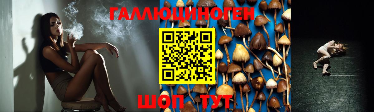 Галлюциногенные грибы MAGIC MUSHROOMS Березники